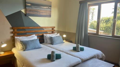 Salty Jackal Surf Camp in Swakopmund