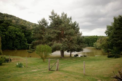 Kilátás, Wild&Free Private Lake in Nagycsepely
