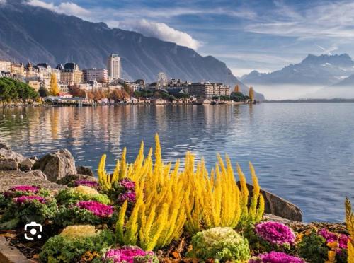 chez Mario in Montreux, Schweiz