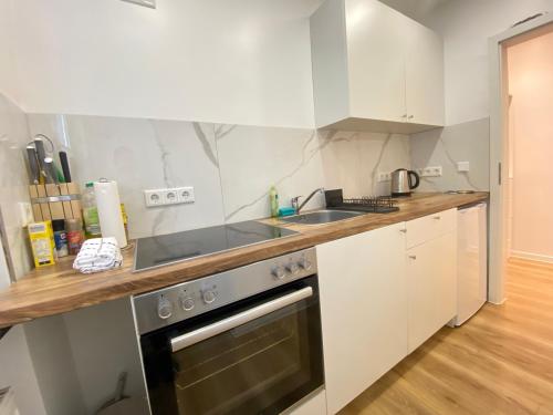 Lux Apartment near Frankfurt! 3