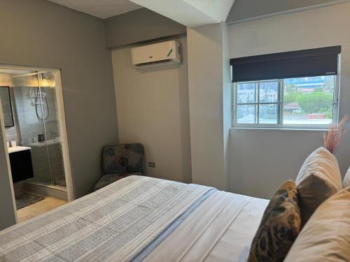 Budget Apartment Near New Kingston near สนามบินนานาชาตินอร์แมน แมนลีย์