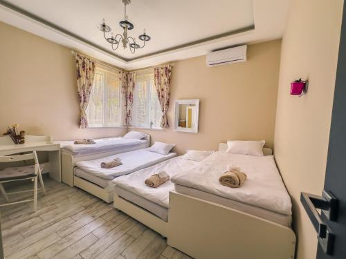 Central Groove - Family, Work, Travel, Sofia (Foto 7)