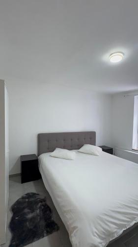 Luxury Apartment 2BR & Jacuzzi Near Expo 12 & ING Arena, Brussels (photo 9)
