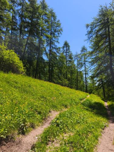 Наличие на забележителност наблизо, Le cocon beuillois in Beuil