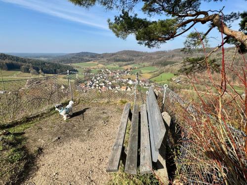 Berggasthof Hotel Igelwirt - image 11
