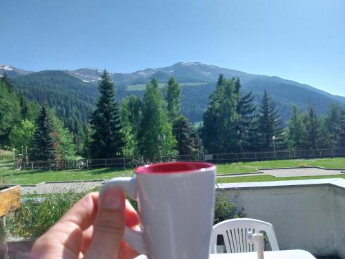 Ciel Bleu - Cir 0122, Pila (foto 7)