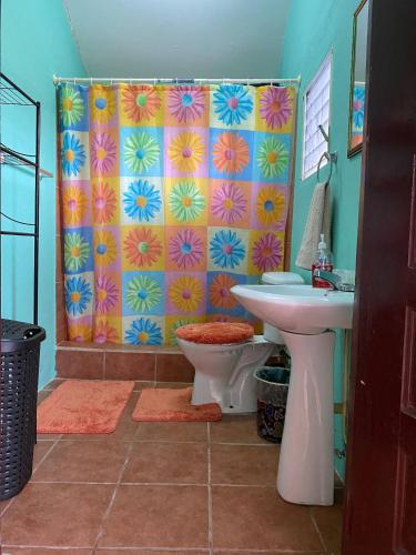 Ванна кімната, Entire House - Private, Affordable, 10 mins to Itl Airport in Burrell Boom