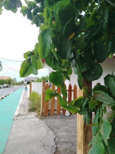 Casa Almendro