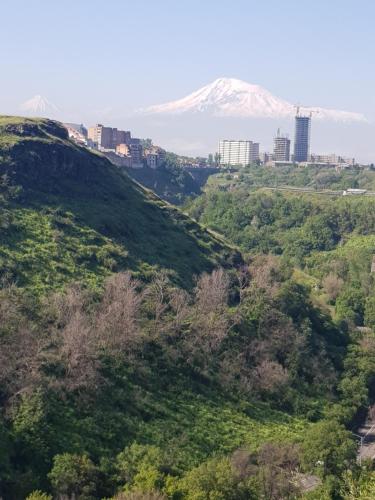 Вишапаках, Aghk'ilisa (fotografie 9)