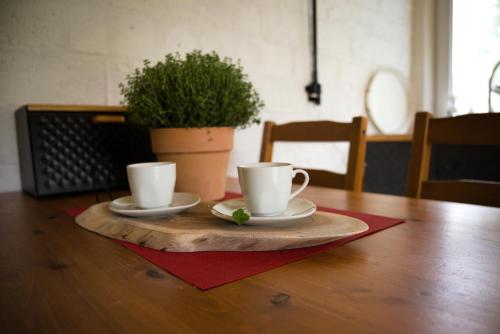 Na Palouku in Horní Cerekev