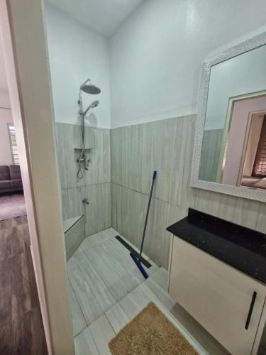 One-Bedroom Apartment image 6