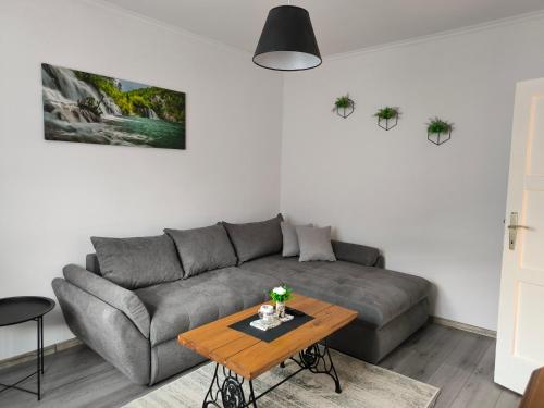 Apartman Domi