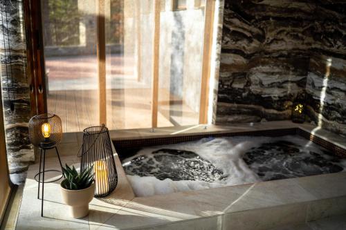 Hot tub, Планинска вила АЛТЕА in Asenovgrad