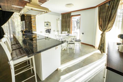 Kitchen, Планинска вила АЛТЕА in Asenovgrad