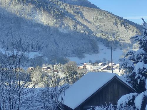 Studio en Abondance in Abondance