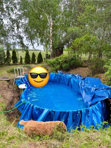 泳池, Domek wakacyjny in 拉斯克