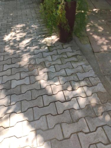 Casa familiar deep in Porto Seguro