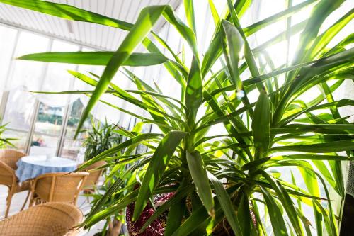 Hotel Majorca - image 3