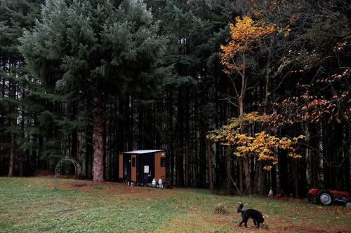 Exterior view of River Haven Tiny House by Tiny Away