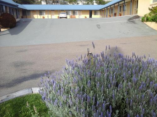 Willows Motel Willows Motel