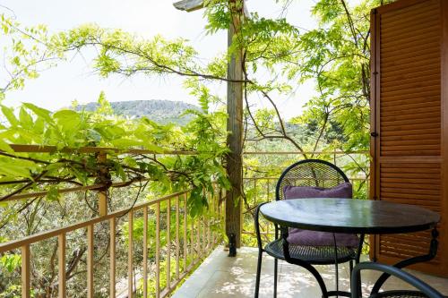 Vedere, Ktima Dafnes in Mountainside