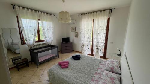 Cleo camelia near Ancona Falconara repülőtér