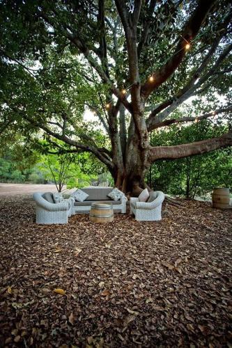 Wellington Forest Cottages  & bar cafe  in Wellington Mill