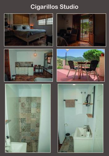 El bufon de la corte Room Type - Studio with Mountain View