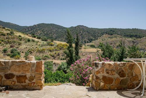 El bufon de la corte 4