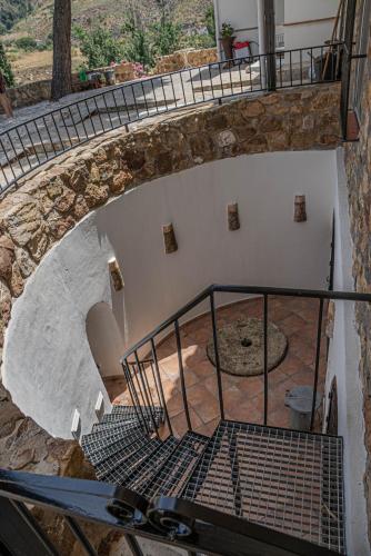 El Bufon De La Corte - Provincia Málaga, Spagna