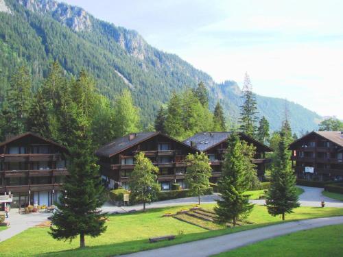 Studio With Mountain View In The Vacation Center in Diemtigen