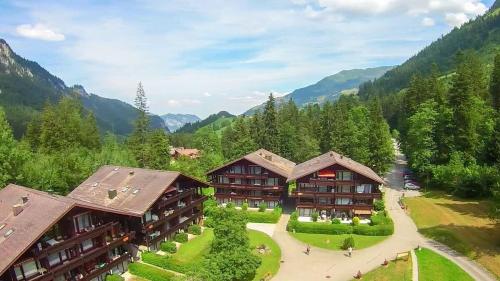 Studio With Mountain View In The Vacation Center in Diemtigen