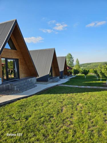 Wild A-frame, Băile Felix (Foto 6)