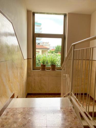 Dainese Apartments Casa Ester - image 3