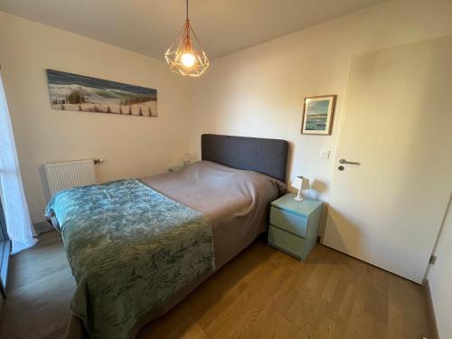 Charmant T3 à Arcachon avec terrasse et parking sécurisé - FR-1-374-233 - image 2