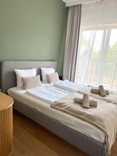 Apartament Śnieżne Kotły Ostoja Parku Narodowego, Szklarska Poręba (foto 4)