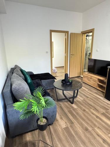 Apartment - Ground Floor image 10