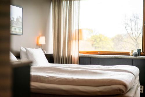 Superior Twin Room image 7