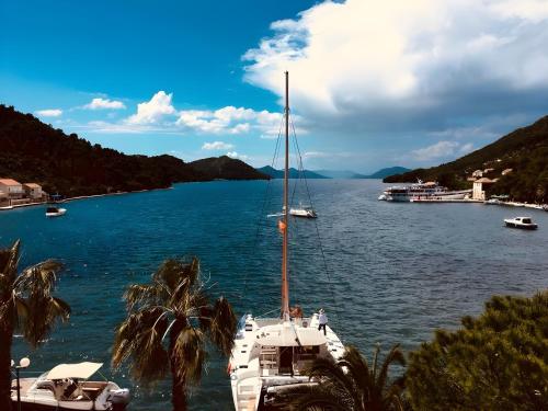 Studio Apartments & Rooms Lela, Sipan Island 3