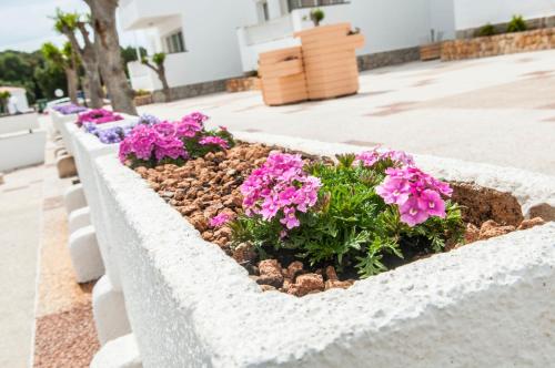 Naranjos Resort Menorca - image 8