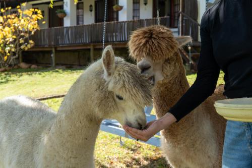 Grietjiesdrif- Mountain Retreat in Sungai Breede