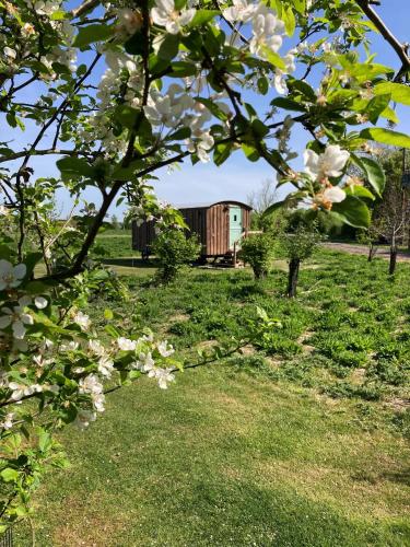 Viesnīcas āriene, Shepherds Hut 3 in Monk Soham