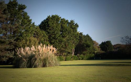 Trevarth Holiday Park in เรดดิทช์