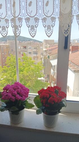 Studio apartment Agava with terrace near Old Town, Сплит (фото 2)