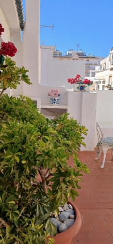 Casa Trinidad in Almunecar