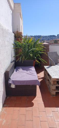 Casa Trinidad in Almunecar