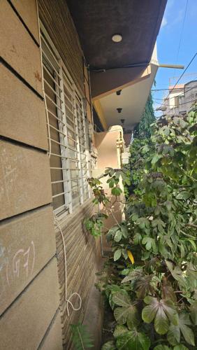 Executive Inn Guest House - image 4