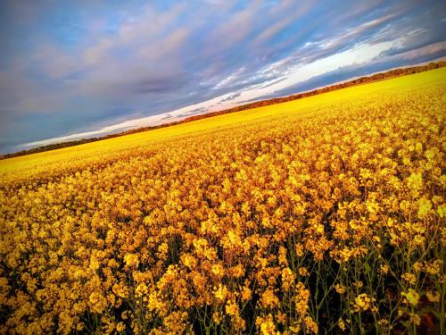 Surrounding environment, Ekebo Guesthouse in Svalov