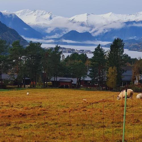 Romsdalseggen Camping 2