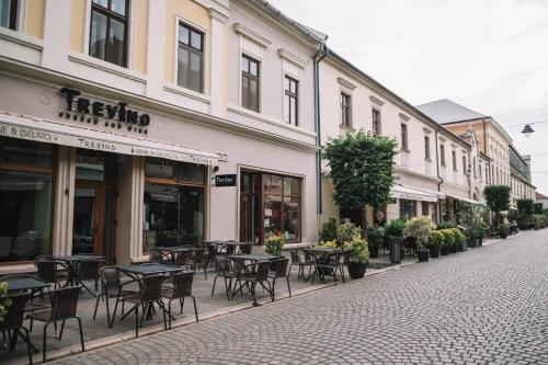 Casa Alecsandri -Ultra Central in 奥拉迪亚